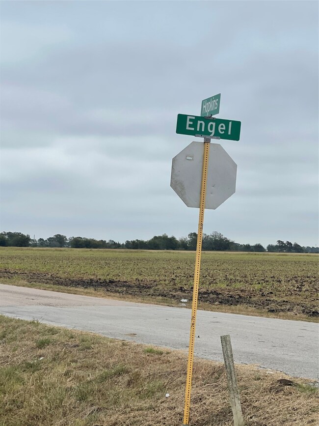 4214 Engle Rd, East Bernard, TX 77435 - photo 3