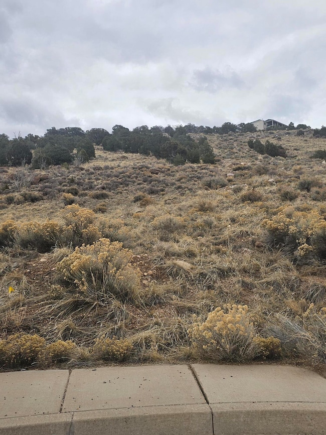 2678 W 225 S Cedar City UT