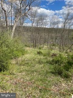 LOT 18 Warden Lake, Wardensville, WV 26851 - photo 4