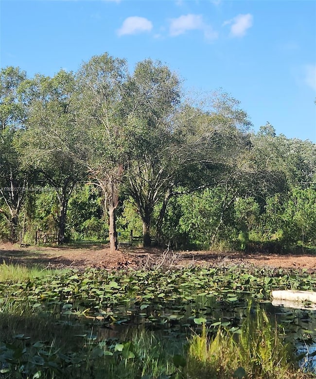 13012 NE 14th Ave, Okeechobee, FL 34972 - photo 2