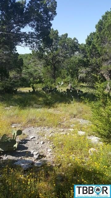 15957 Brazos Dr, Temple, TX 76502 - photo 7