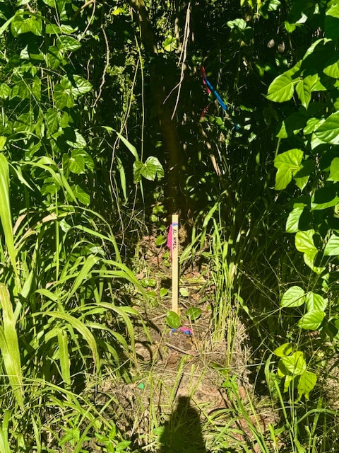 1503 Oio St, Hawaiian Beaches, HI 96778 - photo 2