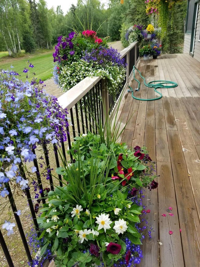 Summer flowers