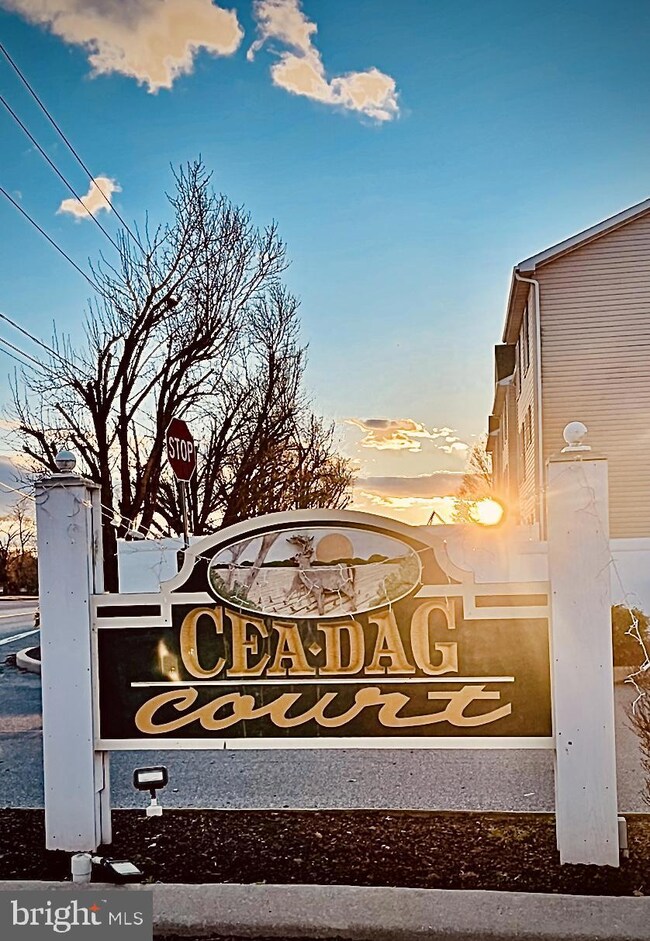 32350 Cea Dag Cir unit 203, Dagsboro, DE 19939 - photo 2