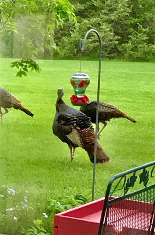 15305 T Rd, Mayetta, KS 66509 - photo 3