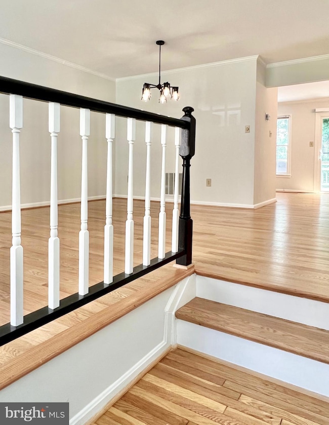 10611 Pine Haven Terrace, Rockville, MD 20852 - photo 3