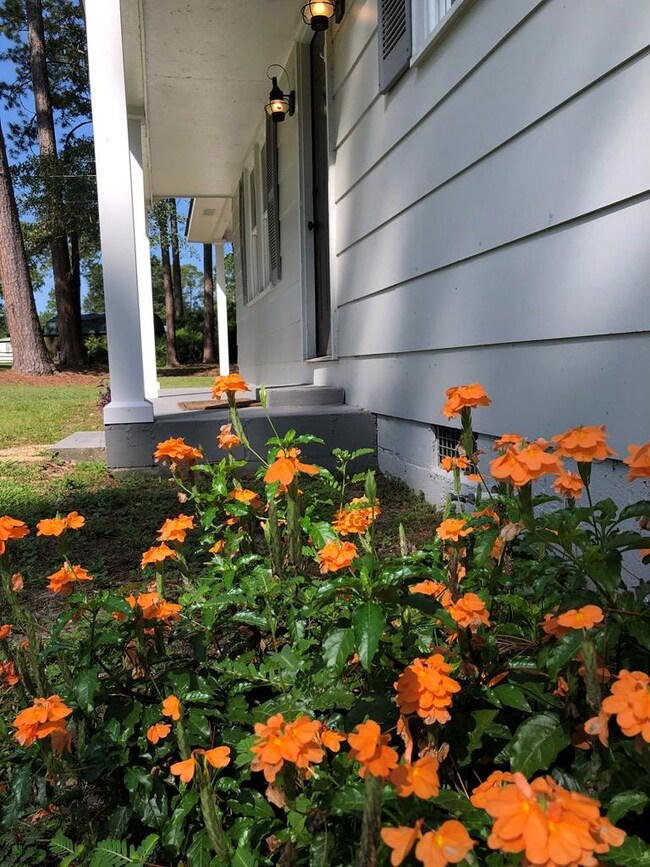 245 Melanie Ln SW, Poulan, GA 31781 - photo 4