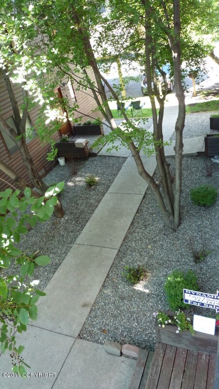 Looking Down toward Walkway