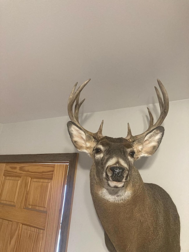 E N 20 School Rd, Glen Flora, WI 54526 - photo 6