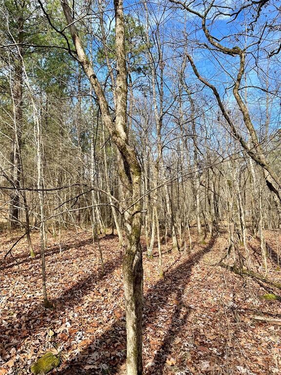 750 Timber Creek Trails South XI, Broken Bow, OK 74728 - photo 4