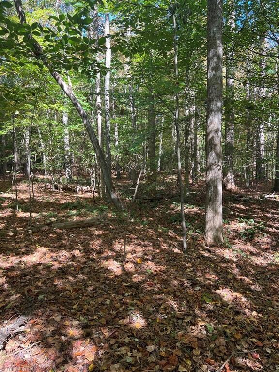 0000 J C Teague Rd, Staley, NC 27355 - photo 2