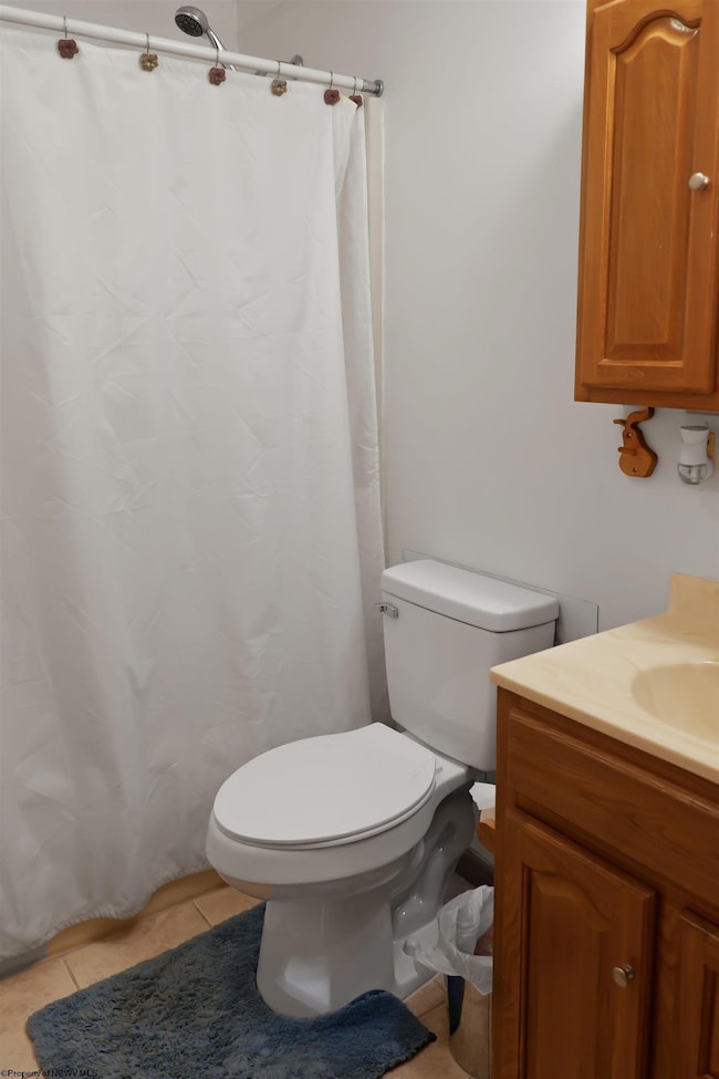 1471 E Alpine Dr, Terra Alta, WV 26764 - photo 7