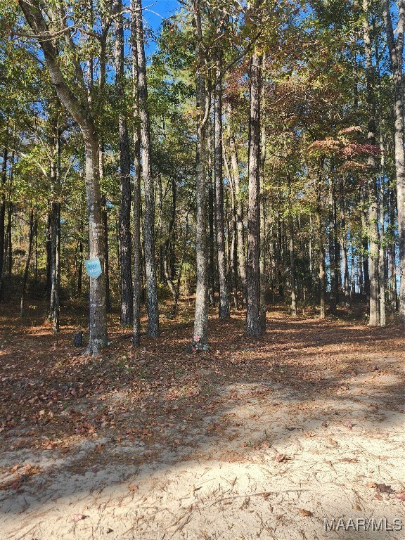 5350 County Road 754, Clanton, AL 35045 - photo 5