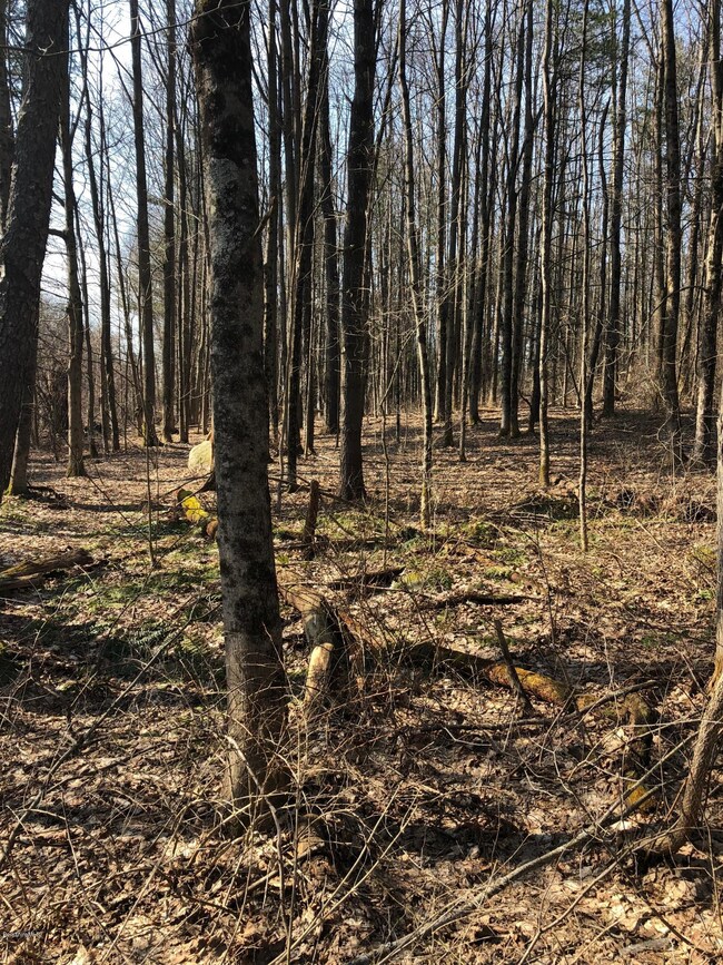 unlisted-address, Great Barrington, MA 01230 - photo 3