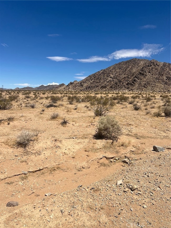 0 Haynes Rd unit CV25252126, Lucerne Valley, CA 92356 - photo 2