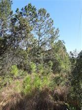 0 Salyers Rd unit O6078900, Clermont, FL 34714 - photo 3