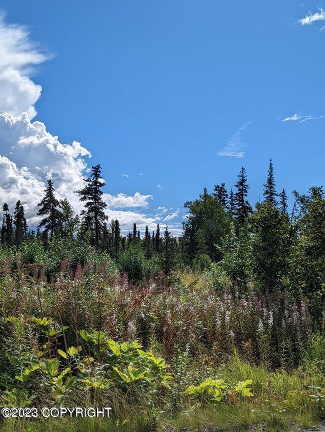 32680 Regal St, Anchor Point, AK 99556 - photo 4