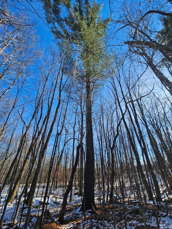 R09-L13-3 Ski Slope Rd, Farmington, ME 04938 - photo 7