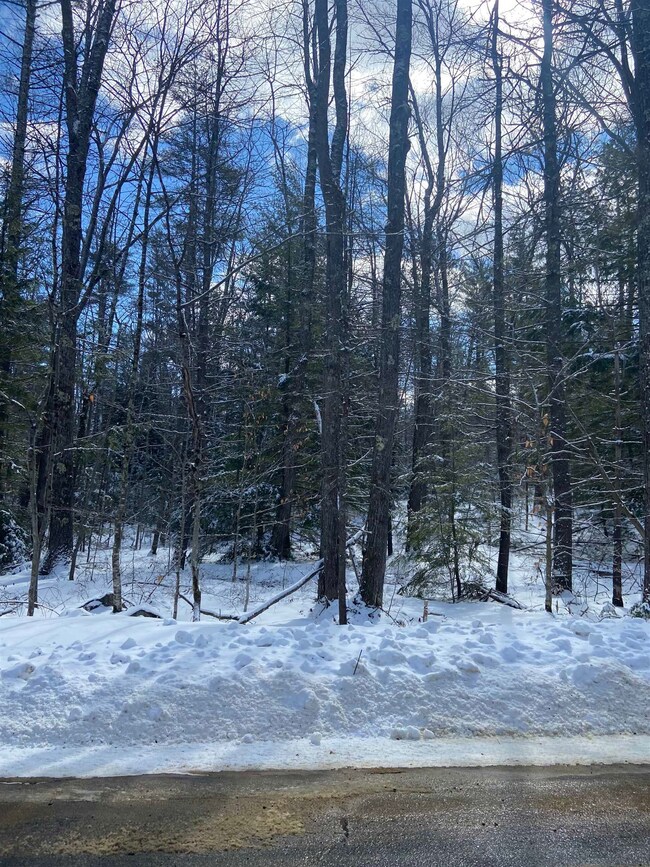 11-2 Parsons Hill Rd unit Map 9 Lot 11-2, Strafford, NH 03884 - photo 6
