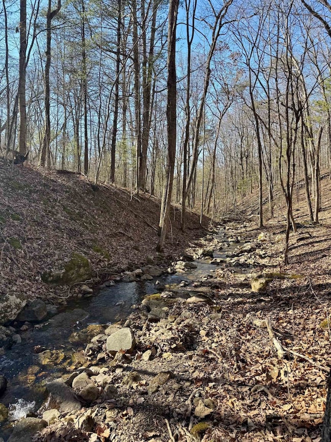 Lot 10 Independence Ln, New Market, VA 22844 - photo 6