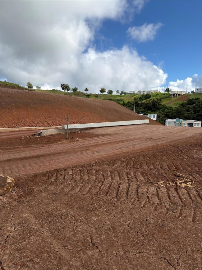 0 Carr 155 Km 31 2 Int Bo Barros unit Lote 3, Orocovis, PR 00720 - photo 6