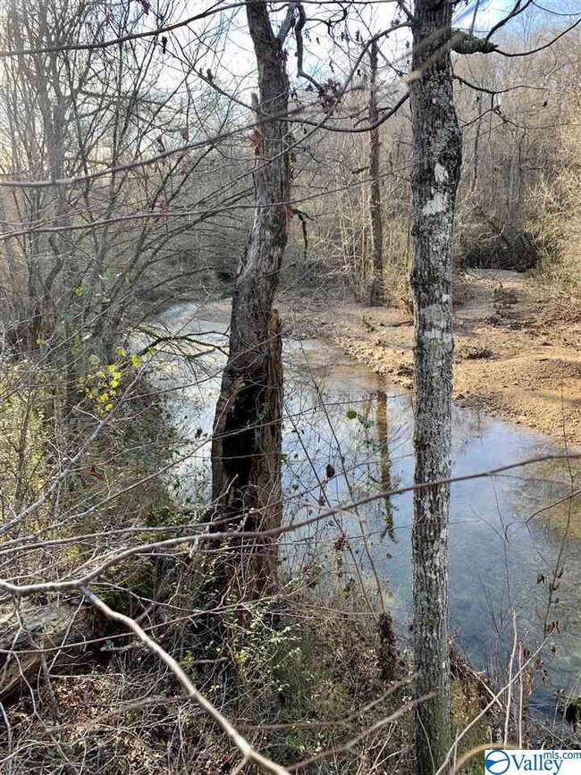 1349 County Road 117, Rogersville, AL 35652 - photo 6