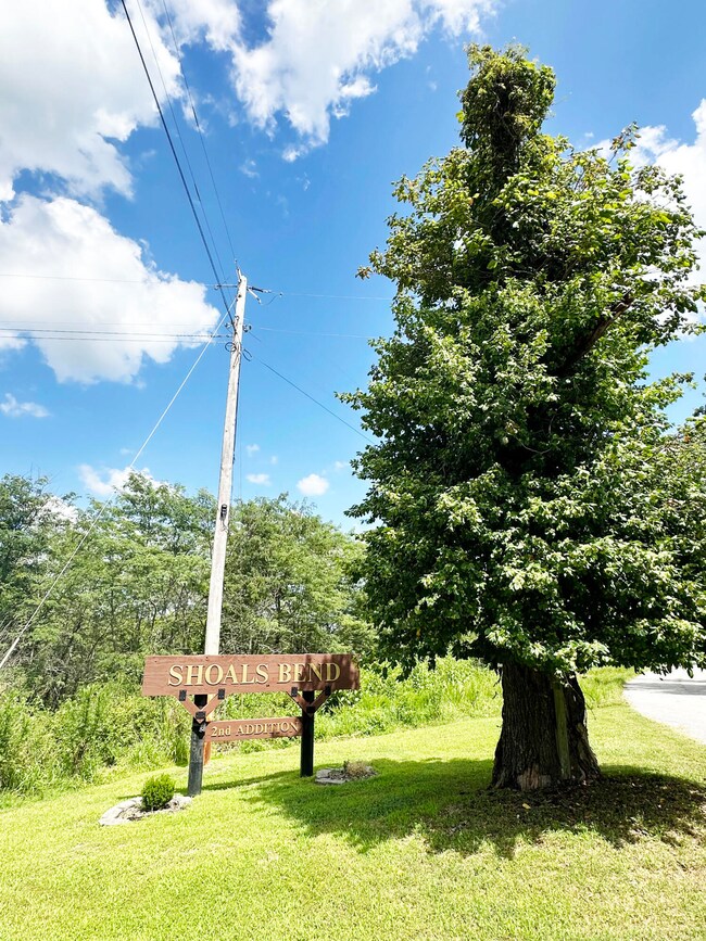 235 Shady Oaks Shore unit Lot 45, Forsyth, MO 65653 - photo 4