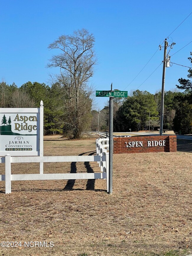 13 Aspen Ridge Ct, Deep Run, NC 28525 - photo 2