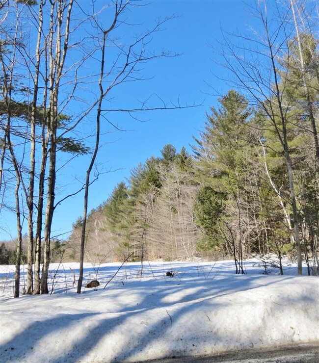 3 Commonwealth Ave, Ludlow, VT 05149 - photo 3