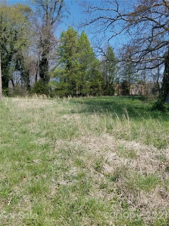 6052 Reepsville Rd, Vale, NC 28168 - photo 3