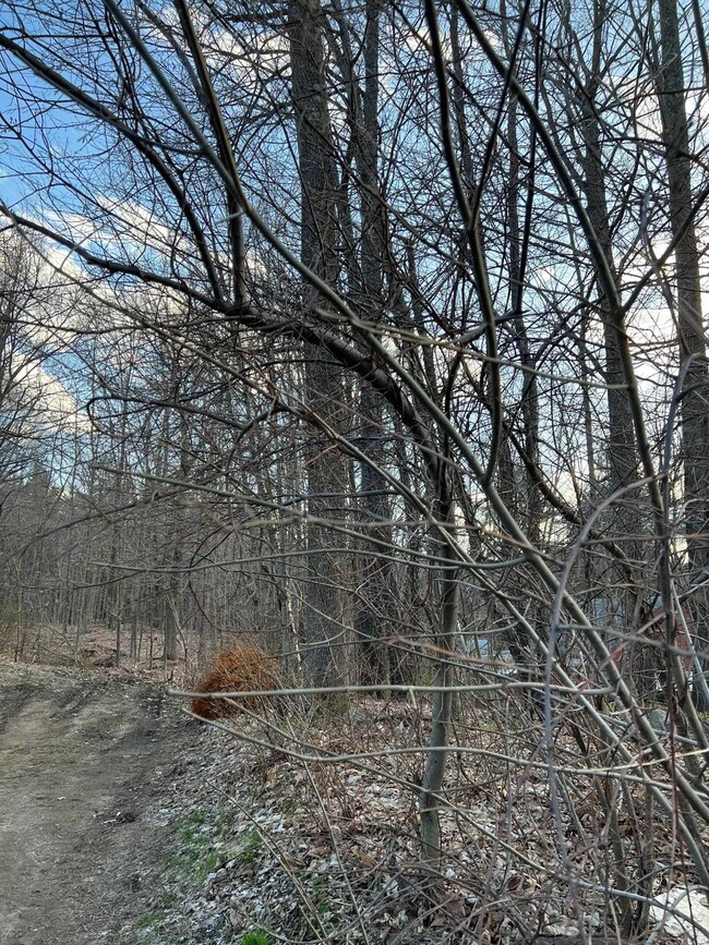 Map 16-a Lot 25 Turnpike Rd unit Map 16- A Lot 25, New Ipswich, NH 03071 - photo 2