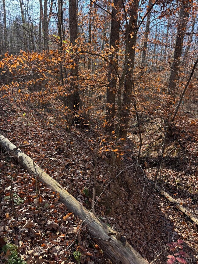 0 Oakville Rd unit 363197, Gladstone, VA 24553 - photo 5