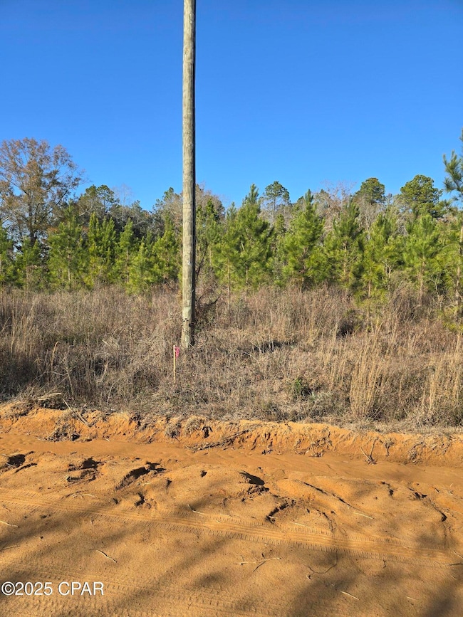 TBD Lot 4 Peanut Rd, Cottondale, FL 32431 - photo 6