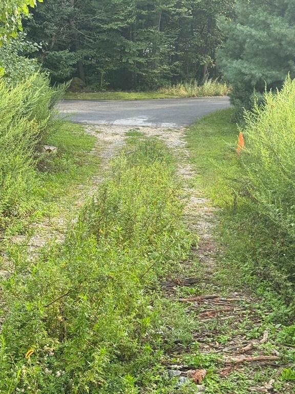 225 Manchaug Rd, Sutton, MA 01590 - photo 5