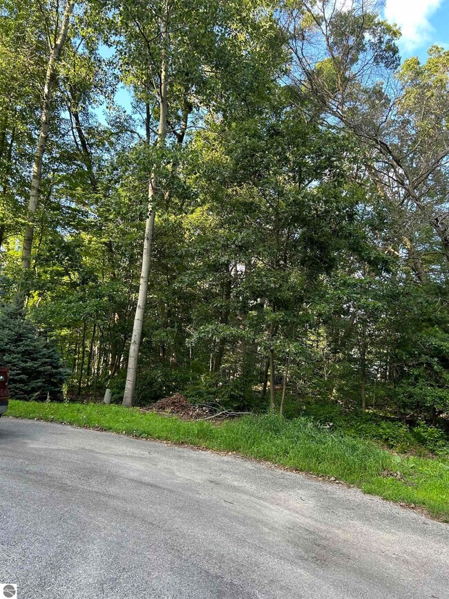 0 Whitetail Ct unit 165 1924976, West Branch, MI 48661 - photo 2