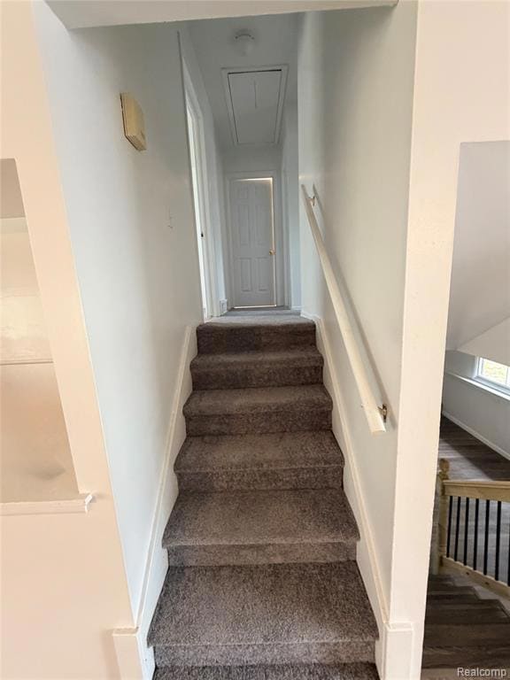 Stairs featuring attic access and carpet