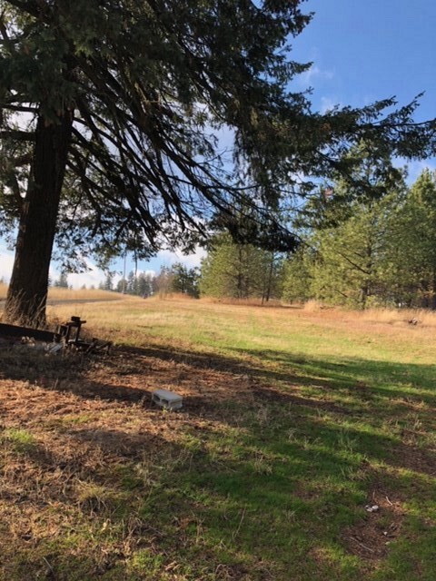 3320 W Woolard Rd, Colbert, WA 99005 - photo 3