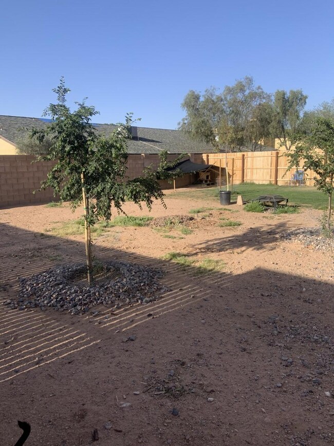backyard 2