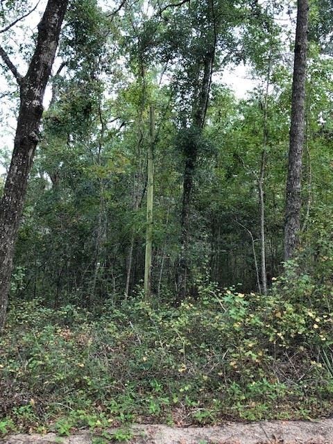 0 Stanley Dr unit 1, Crawfordville, FL 32327 - photo 4