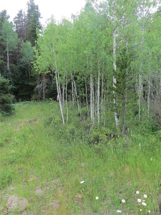 0 Peak To Peak Hwy unit REC2002177, Nederland, CO 80466 - photo 3