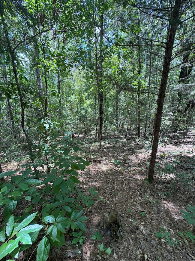 0 Arvada Dr unit 24059220, Northport, AL 35473 - photo 6