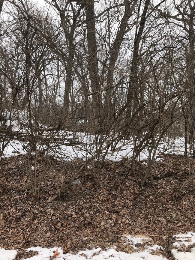Slightly sloped, wooded lot. Adjacent .2 acre lot 