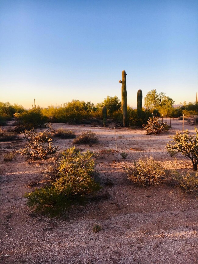 000 E Burro Ln unit 4&5, Florence, AZ 85132 - photo 4