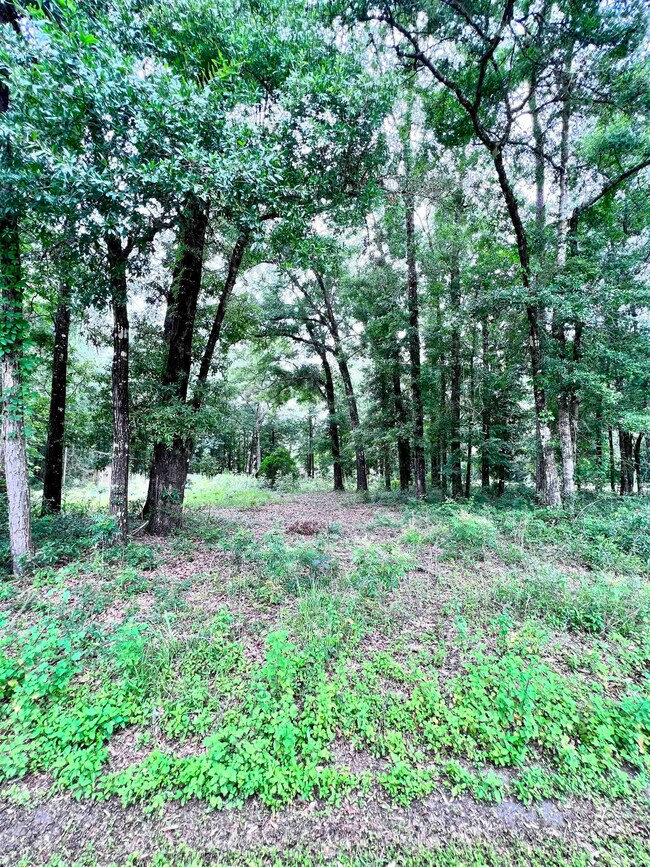 136 Fontaine Cir, Crawfordville, FL 32327 - photo 2