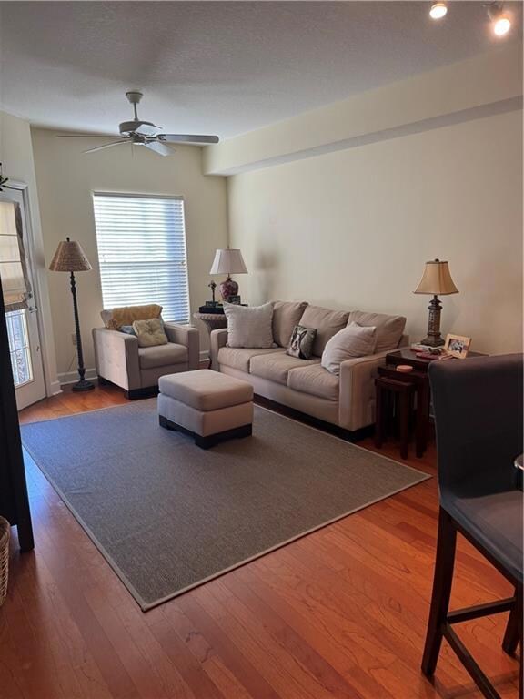 Large living room with freshly painted walls with 