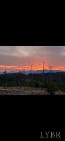 0 W Perch unit 362248, Monroe, VA 24574 - photo 2