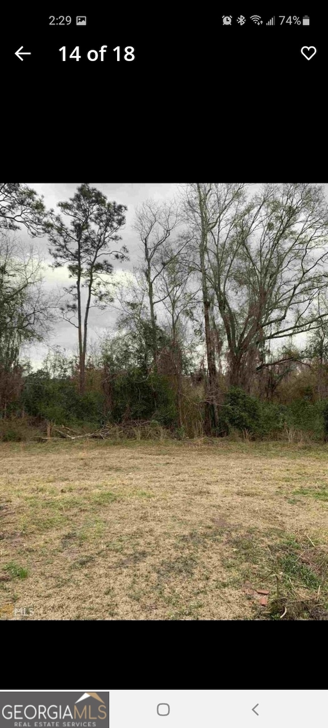 847 Edison Ray Rd, Rhine, GA 31077 - photo 5