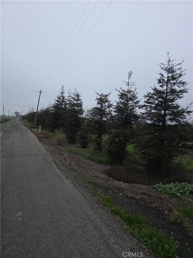 0 W Walker Landing Rd unit SW25276321, Walnut Grove, CA 95690 - photo 3