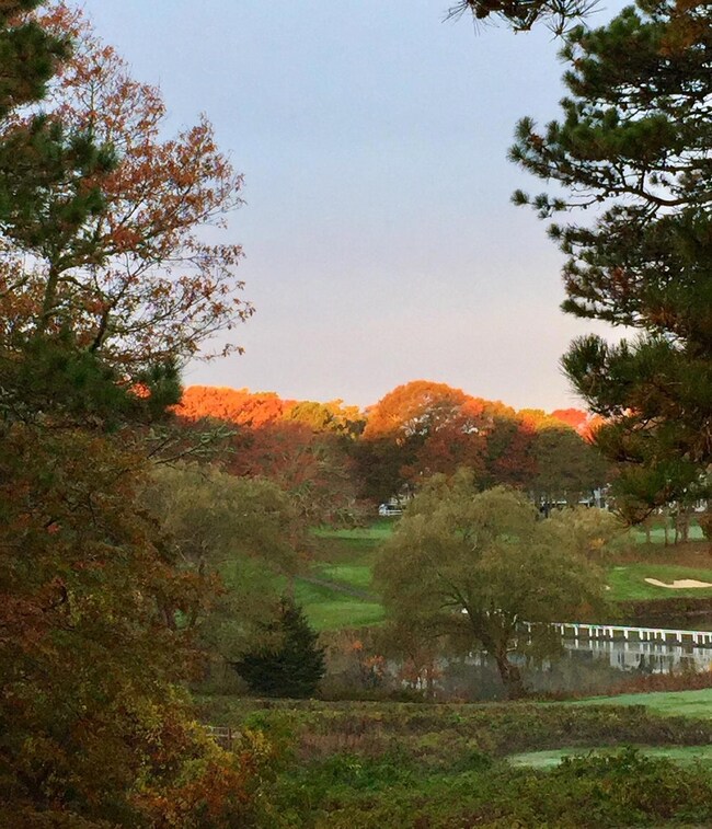 95 Driving Tee Cir, South Yarmouth, MA 02664 - photo 7