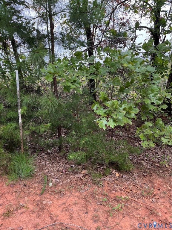 0027 Aspen Grove Rd, Buckingham, VA 23901 - photo 5